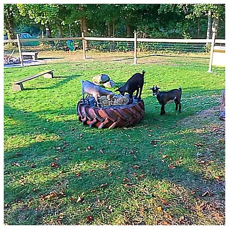 Tatil Evi Hestkaer Family