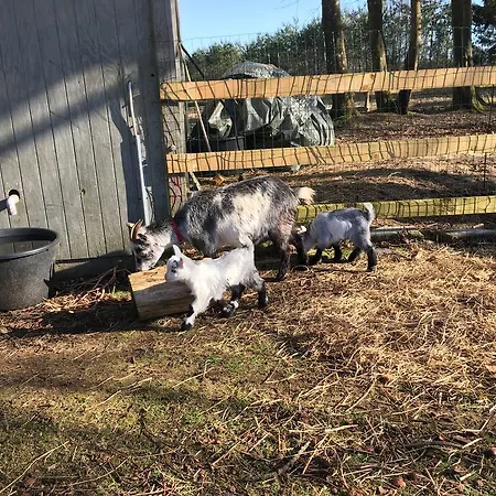 Hestkaer Family Tatil Evi