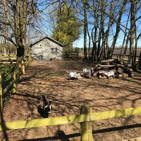 Hestkaer Family Hébergement de vacances *