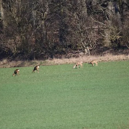 Hestkaer Family * Grindsted