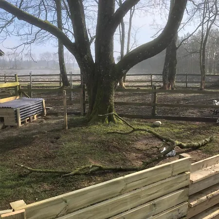 Ferienhaus Hestkaer Family Grindsted