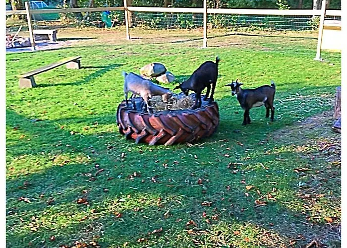 Дом отдыха Hestkaer Family