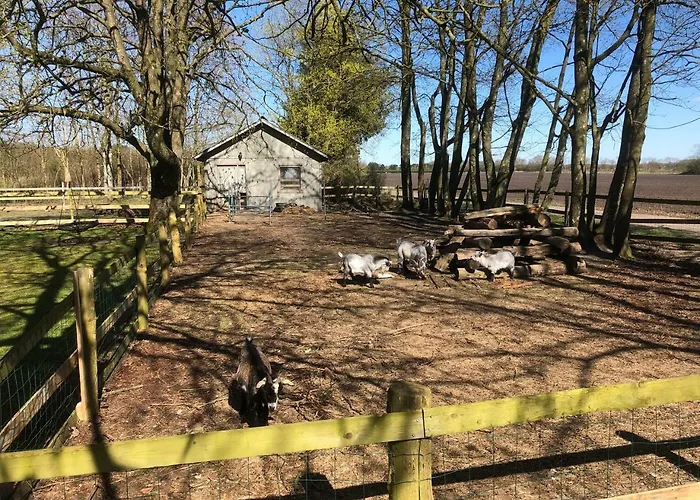 Hestkaer Family Дом отдыха *